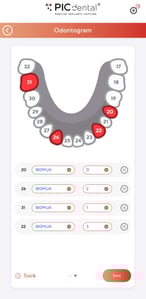 PIC app case draft 2