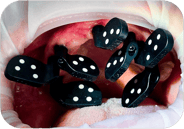 PIC transfers alternation